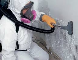 Mold Remediation for Rental Properties in Weedpatch, CA